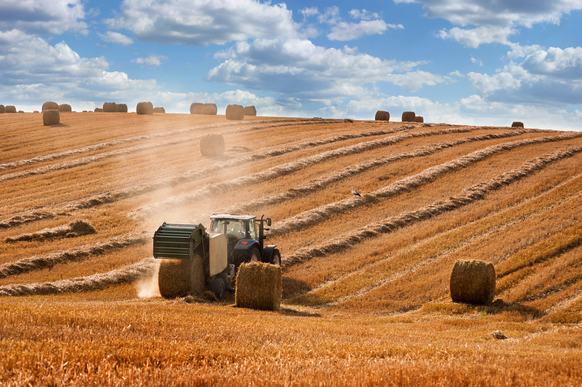 Balirke in kako sem spoznala, da je za vsako balo sena potrebna tehnologija